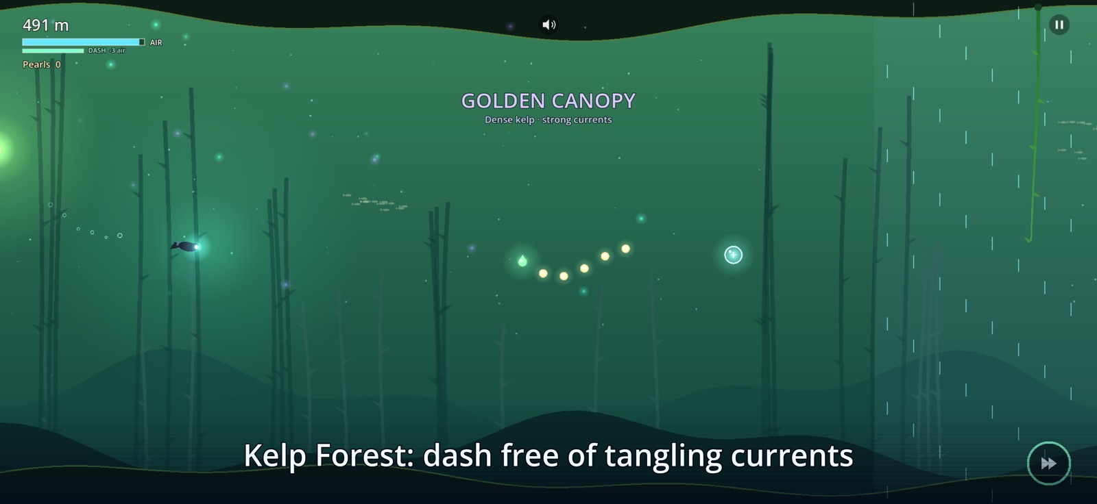 Kelp Forest: a diver among towering kelp in the Golden Canopy.